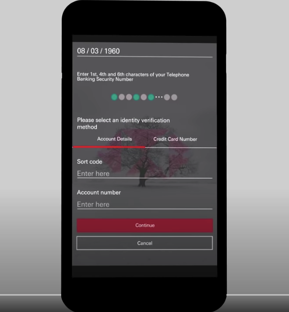 Primjer unosa lozinke HSBC-a