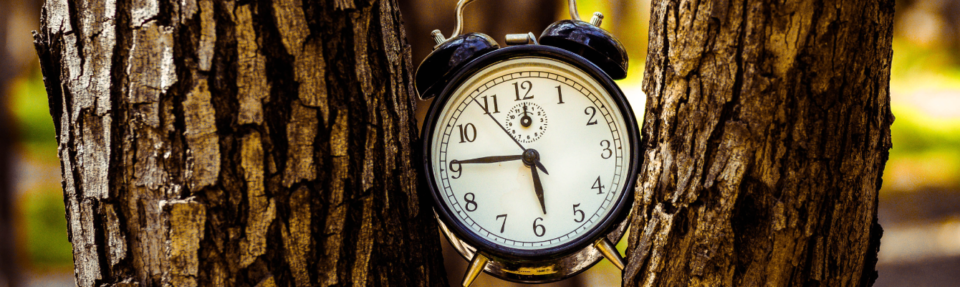 Kako pružiti najbolju podršku korisnicima u stvarnom vremenu 2025.