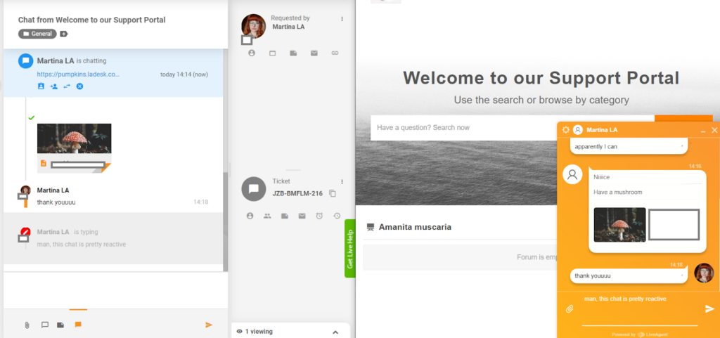 LiveAgent - pregled tipkanja u realnom vremenu