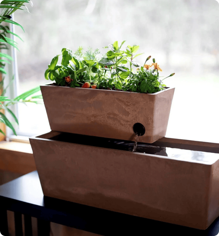 Kako AquaSprouts postiže stopu zadovoljstva kupaca od 96,5% s LiveAgent-om