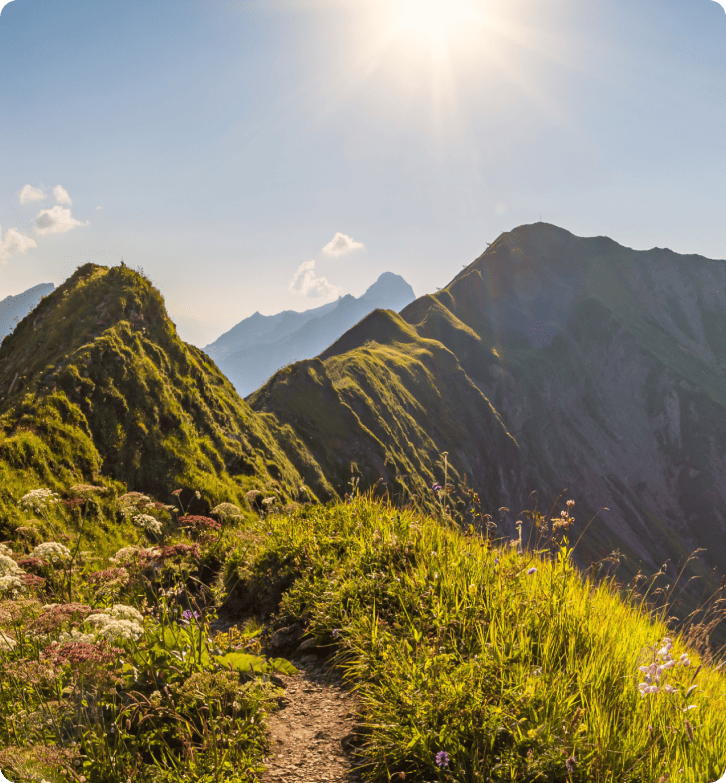 Kako je ZlavaDna poboljšala korisničku podršku s LiveAgent